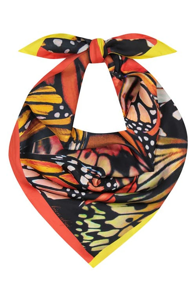 Bien Abyé Papillon Wing Scarf in Multi at Nordstrom