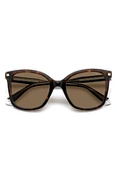 Polaroid 53mm Polarized Square Sunglasses in Havana/Bronze Polar at Nordstrom