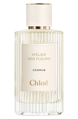 Chloé Atelier des Fleurs Cedrus Eau de Parfum at Nordstrom