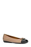 Geox Annytah Ballet Flat Beige/Black at Nordstrom,