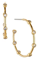 Nadri Daylight Hoop Earrings in Gold at Nordstrom