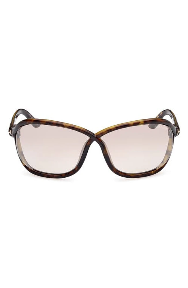 TOM FORD Fernanda 68mm Oversize Butterfly Sunglasses in Classic Dark Havana /Silver at Nordstrom