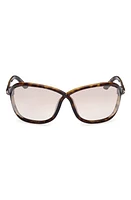 TOM FORD Fernanda 68mm Oversize Butterfly Sunglasses in Classic Dark Havana /Silver at Nordstrom