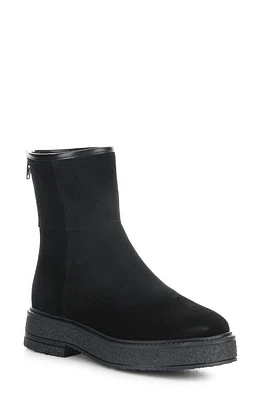 Bos. & Co. Sammy Faux Shearling Lined Waterproof Bootie Suede at Nordstrom,