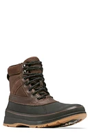 SOREL Ankeny II Waterproof Hiking Boot Tobacco/Black at Nordstrom,