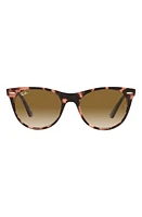 Ray-Ban Phantos 52mm Round Sunglasses in Pink Havana at Nordstrom