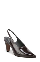 Franco Sarto Sorrento Slingback Pointed Toe Pump Dark Brown at Nordstrom,