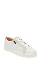 FRANKIE4 Mim III Sneaker White/Suede at Nordstrom,