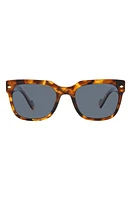 VOGUE 54mm Polarized Square Sunglasses in Tortoise at Nordstrom