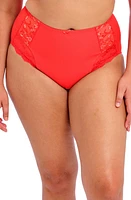 Elomi Charley Full Figure Briefs at Nordstrom,