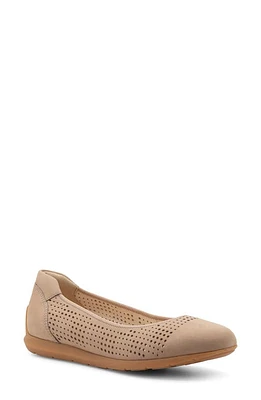 Sarah Perf Flat Sand at Nordstrom,