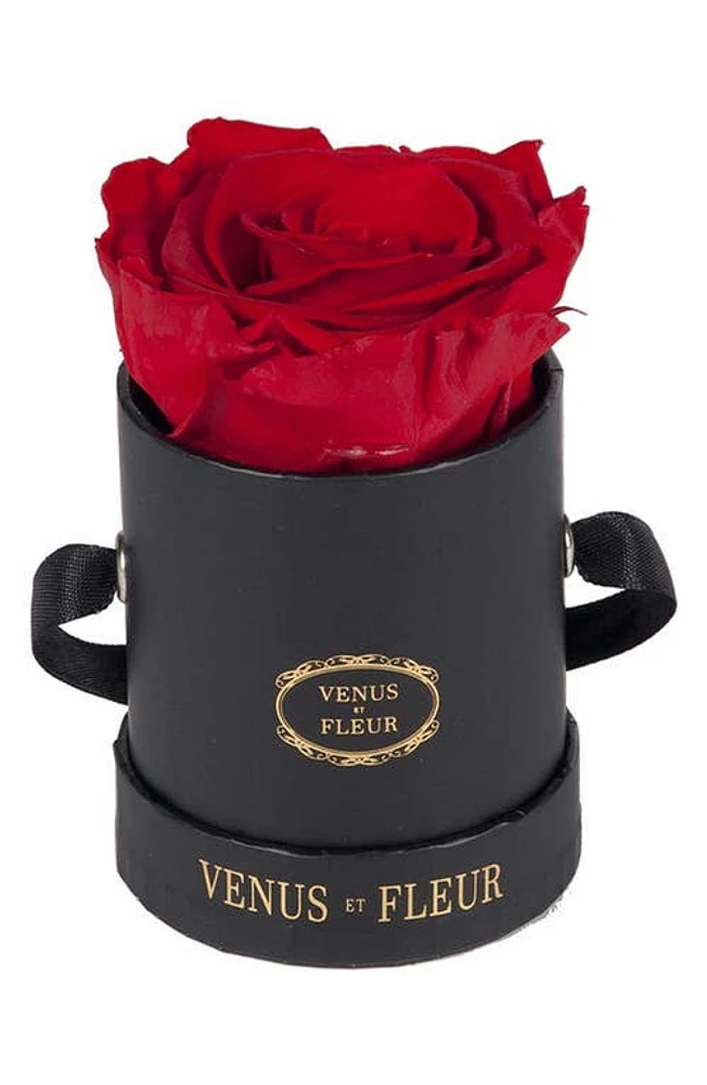 Venus ET Fleur Classic Le Mini Round Eternity Rose in Red at Nordstrom