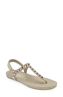 Pedro Garcia Judith Crystal Stud Sandal Castoro at Nordstrom,