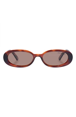 Le Specs Outta Love 51mm Oval Sunglasses in Toffee Tort at Nordstrom