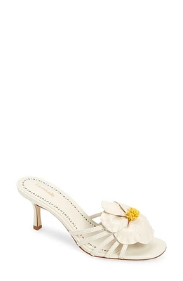 Larroudé Magnolia Slide Sandal Ivory at Nordstrom,