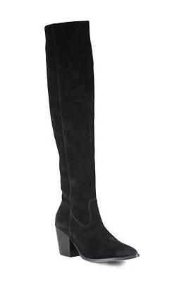 Diba True Cinna Knee High Pointed Toe Boot at Nordstrom,