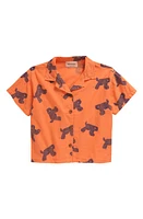 Bobo Choses Kids' Big Cat Print Short Sleeve Cotton Button-Up Shirt Orange at Nordstrom, Y