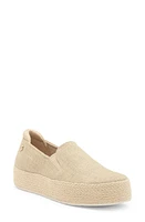 SKECHERS x Martha Stewart BOBS Sesame Slip-On Sneaker at Nordstrom,