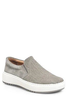 Söfft Watney Sneaker in Snare Grey/pietra Grey at Nordstrom, Size 6.5