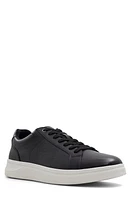 ALDO Darren Sneaker in Black at Nordstrom, Size 10.5