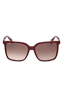 Max Mara 57mm Gradient Square Sunglasses in Shiny Bordeaux/Grad Bordeaux at Nordstrom