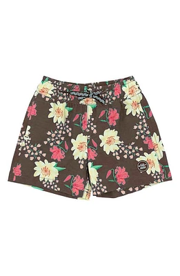 Feather 4 Arrow Tavi Volley Swim Trunks Black at Nordstrom,