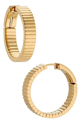 Nadri Sunlight Hoop Earrings in Gold at Nordstrom