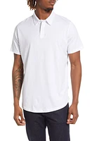 LIVE Solid Pima Cotton Polo at Nordstrom,