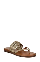 Zodiac Cary Thong Sandal Gold at Nordstrom,