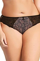 Elomi Morgan Full Figure Briefs at Nordstrom,