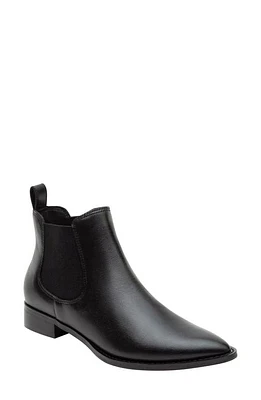 Linea Paolo Zoey Pointed Toe Chelsea Boot at Nordstrom,