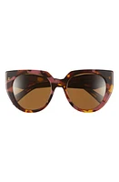 Prada 52mm Cat Eye Sunglasses in Dark Brown at Nordstrom