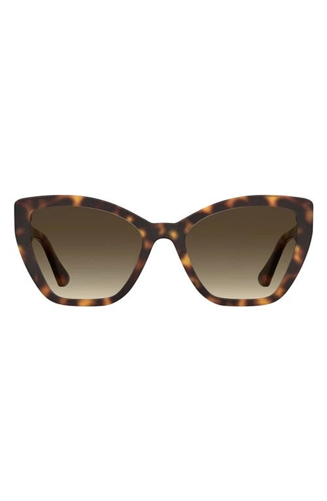 Moschino 55mm Gradient Cat Eye Sunglasses in Havana at Nordstrom