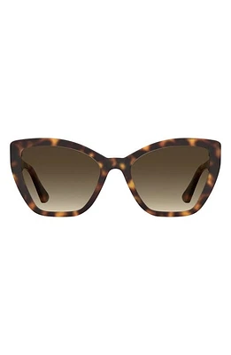 Moschino 55mm Gradient Cat Eye Sunglasses in Havana at Nordstrom