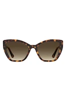 Moschino 55mm Gradient Cat Eye Sunglasses in Havana at Nordstrom