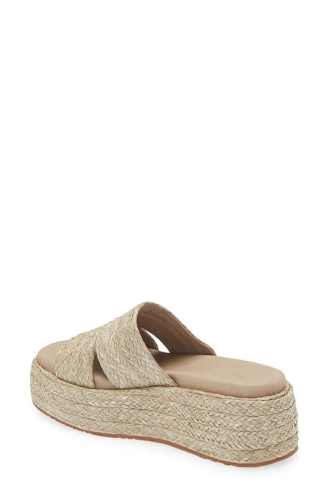 Chocolat Blu Larra Platform Slide Sandal Raffia at Nordstrom,