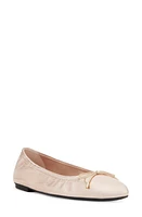 Stuart Weitzman Bow Flat in Ballet at Nordstrom, Size 9.5