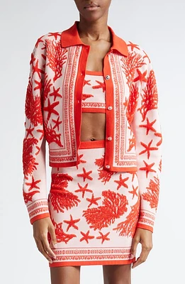 Versace Ocean Jacquard Cardigan Dusty Rose at Nordstrom, Us