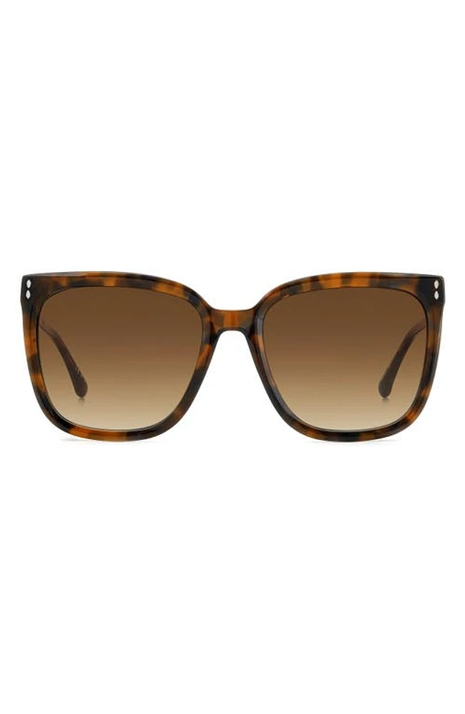 Isabel Marant In Love 57mm Gradient Square Sunglasses in Havana/Brown Gradient at Nordstrom