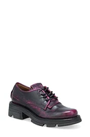 A. S.98 Layton Lug Sole Derby Fuchsia at Nordstrom,