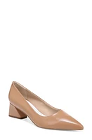 Franco Sarto Racer Pointed Toe Pump at Nordstrom