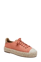 Linea Paolo Silva Espadrille Sneaker at Nordstrom,