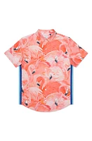 MAVRANS Tailored Fit Flamingo Print Waterproof Short Sleeve Performance Button-Up Shirt Pink at Nordstrom,