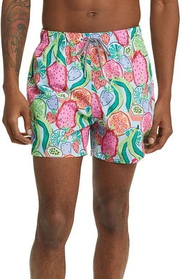 Boardies Ice & Slice Swim Trunks Blue/Green/Pink Multi at Nordstrom,