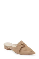 KOKO + PALENKI Quantum Pointed Toe Mule Suede at Nordstrom,