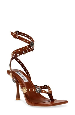 Steve Madden Asha Ankle Strap Sandal at Nordstrom,