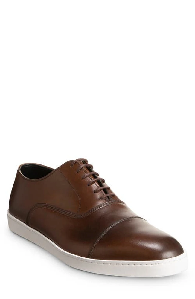 Allen Edmonds Park Sneaker Bourbon at Nordstrom,