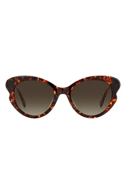 Kate Spade New York 53mm elina/g/s round sunglasses in Havana/Brown Gradient at Nordstrom