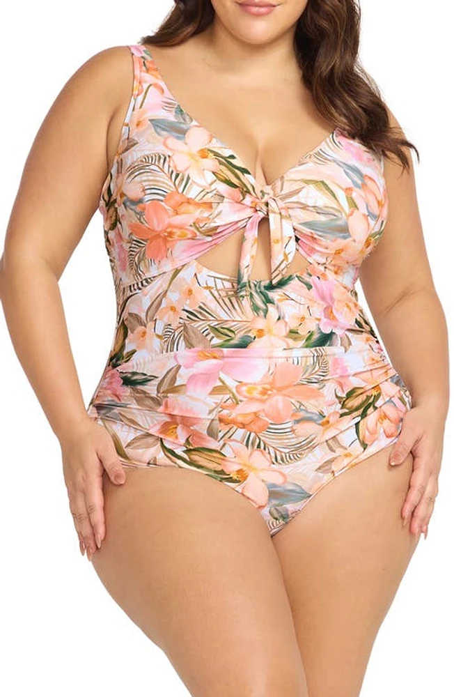 Artesands Titania Cezanne D- & DD-Cup One-Piece Swimsuit Natural at Nordstrom, Us