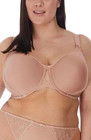 Elomi Charley Full Figure Spacer Underwire Bra at Nordstrom,